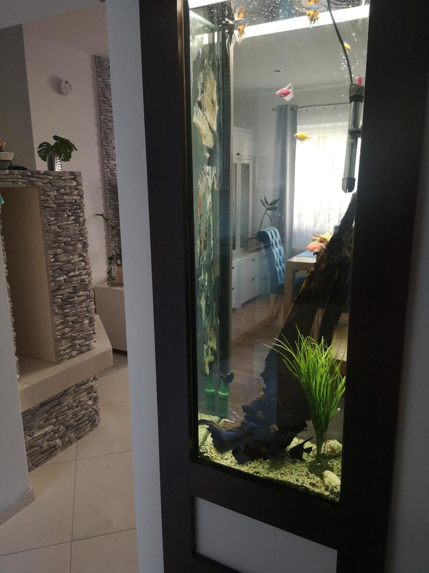 Ferienwohnung Yesplease Gizycko Mazury Exterior foto